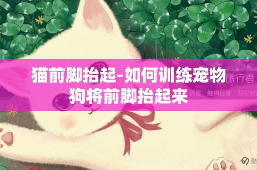 貓前腳抬起-如何訓練寵物狗將前腳抬起來