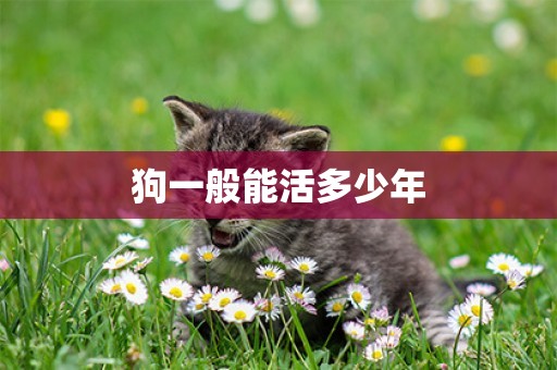 狗一般能活多少年