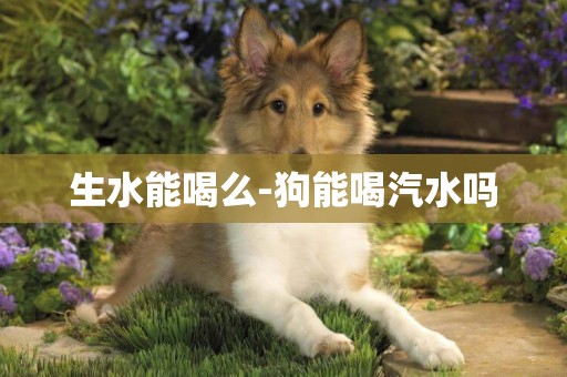 生水能喝么-狗能喝汽水嗎