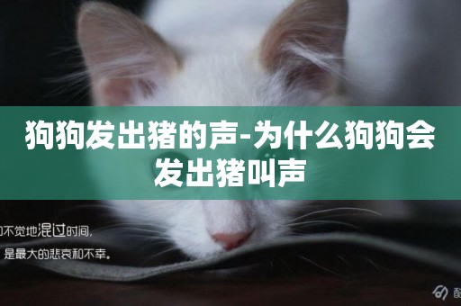 狗狗發出豬的聲-為什么狗狗會發出豬叫聲