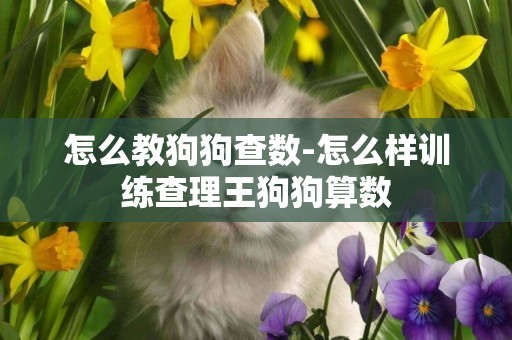 怎么教狗狗查數-怎么樣訓練查理王狗狗算數