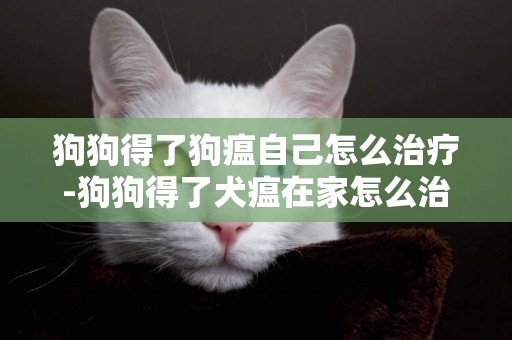 狗狗得了狗瘟自己怎么治療-狗狗得了犬瘟在家怎么治療