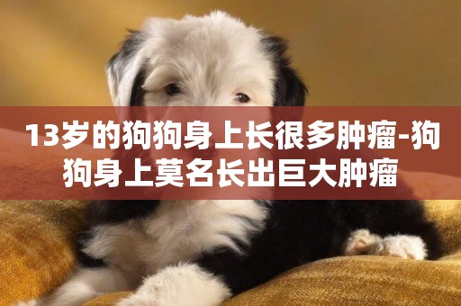 13歲的狗狗身上長很多腫瘤-狗狗身上莫名長出巨大腫瘤