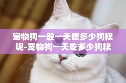 寵物狗一般一天吃多少狗糧呢-寵物狗一天吃多少狗糧