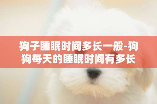 狗子睡眠時間多長一般-狗狗每天的睡眠時間有多長