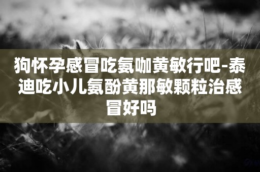 狗懷孕感冒吃氨咖黃敏行吧-泰迪吃小兒氨酚黃那敏顆粒治感冒好嗎