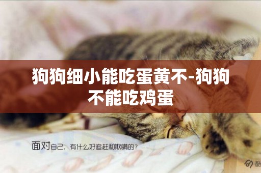 狗狗細小能吃蛋黃不-狗狗不能吃雞蛋