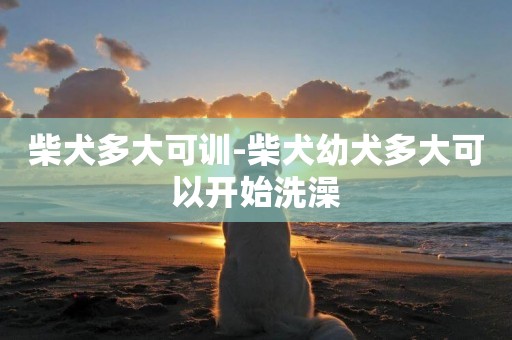 柴犬多大可訓-柴犬幼犬多大可以開始洗澡