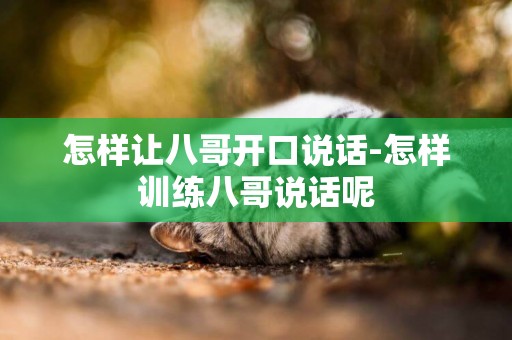 怎樣讓八哥開口說話-怎樣訓練八哥說話呢