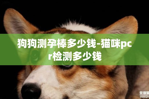 狗狗測孕棒多少錢-貓咪pcr檢測多少錢