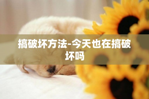 搞破壞方法-今天也在搞破壞嗎