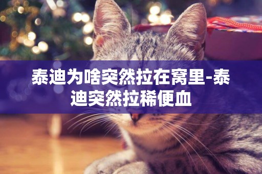 泰迪為啥突然拉在窩里-泰迪突然拉稀便血
