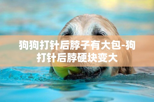 狗狗打針后脖子有大包-狗打針后脖硬塊變大