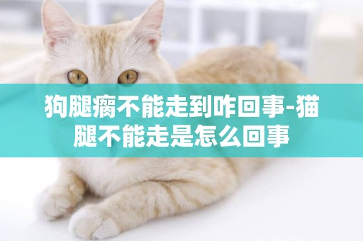 狗腿瘸不能走到咋回事-貓腿不能走是怎么回事