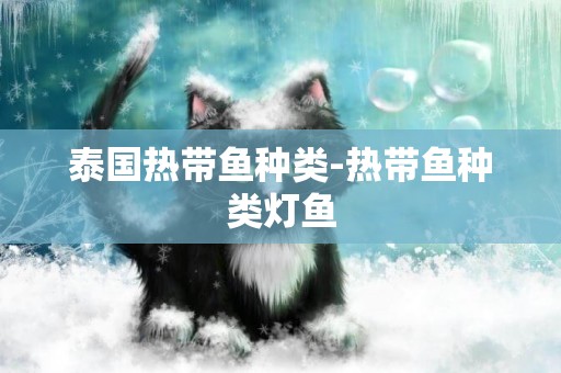 泰國熱帶魚種類-熱帶魚種類燈魚