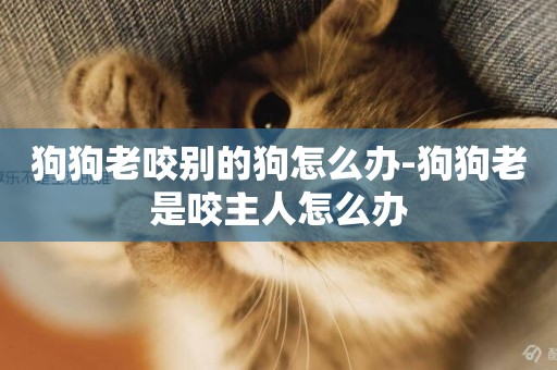 狗狗老咬別的狗怎么辦-狗狗老是咬主人怎么辦