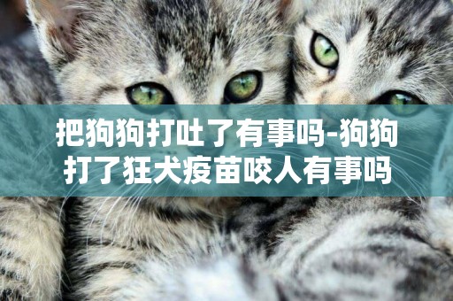把狗狗打吐了有事嗎-狗狗打了狂犬疫苗咬人有事嗎