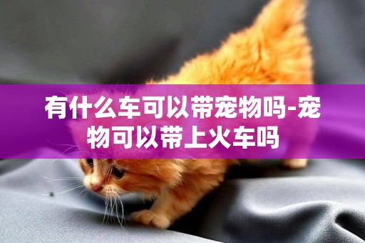 有什么車可以帶寵物嗎-寵物可以帶上火車嗎