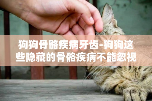 狗狗骨骼疾病牙齒-狗狗這些隱藏的骨骼疾病不能忽視