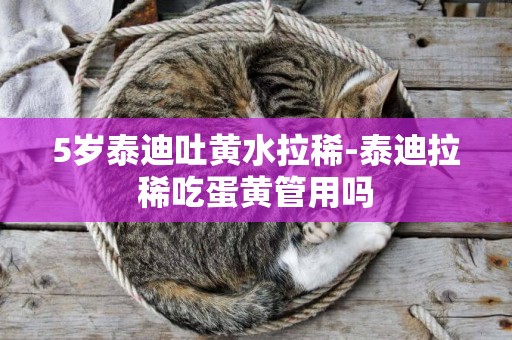 5歲泰迪吐黃水拉稀-泰迪拉稀吃蛋黃管用嗎