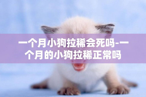 一個月小狗拉稀會死嗎-一個月的小狗拉稀正常嗎