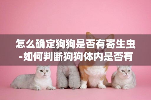 怎么確定狗狗是否有寄生蟲-如何判斷狗狗體內是否有寄生蟲