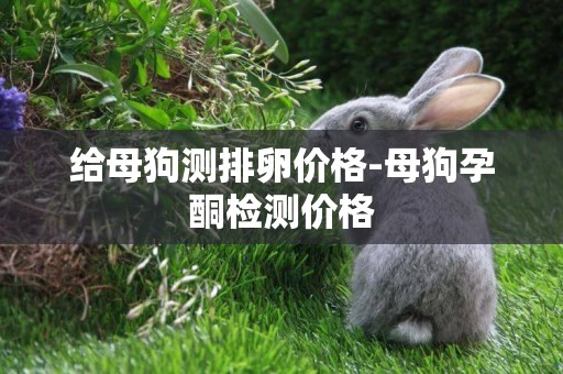 給母狗測排卵價格-母狗孕酮檢測價格