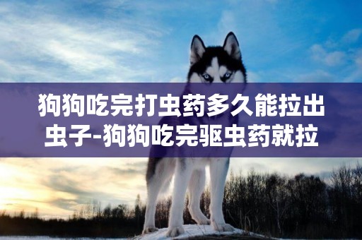 狗狗吃完打蟲藥多久能拉出蟲子-狗狗吃完驅蟲藥就拉肚子