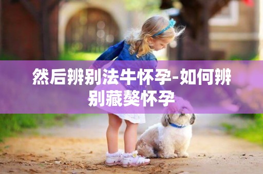 然后辨別法牛懷孕-如何辨別藏獒懷孕