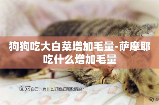 狗狗吃大白菜增加毛量-薩摩耶吃什么增加毛量