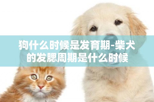 狗什么時候是發育期-柴犬的發腮周期是什么時候