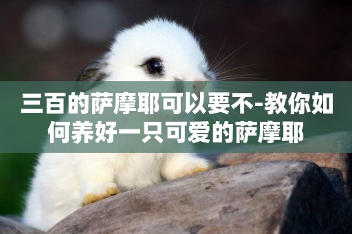 三百的薩摩耶可以要不-教你如何養好一只可愛的薩摩耶
