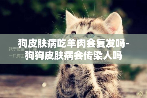 狗皮膚病吃羊肉會復發嗎-狗狗皮膚病會傳染人嗎