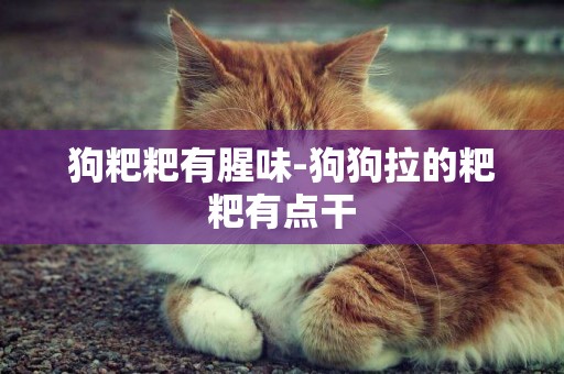 狗粑粑有腥味-狗狗拉的粑粑有點干
