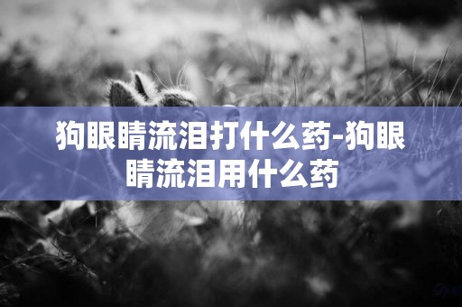 狗眼睛流淚打什么藥-狗眼睛流淚用什么藥