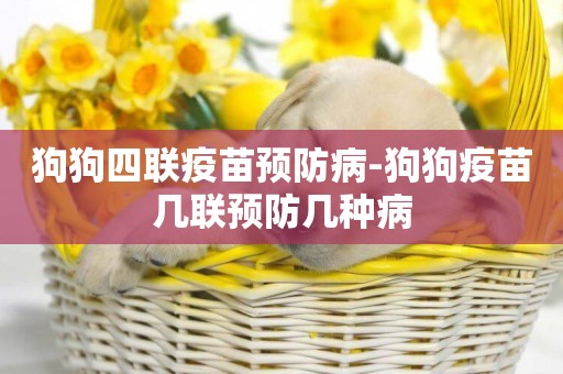 狗狗四聯疫苗預防病-狗狗疫苗幾聯預防幾種病