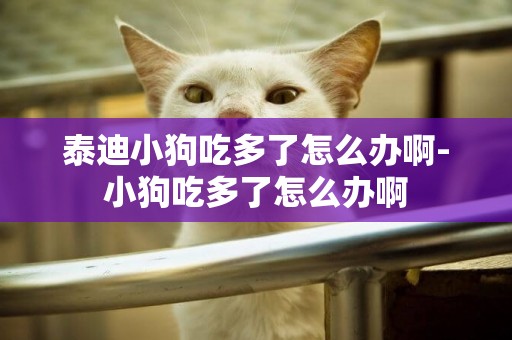泰迪小狗吃多了怎么辦啊-小狗吃多了怎么辦啊