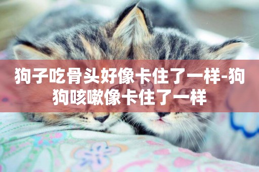 狗子吃骨頭好像卡住了一樣-狗狗咳嗽像卡住了一樣