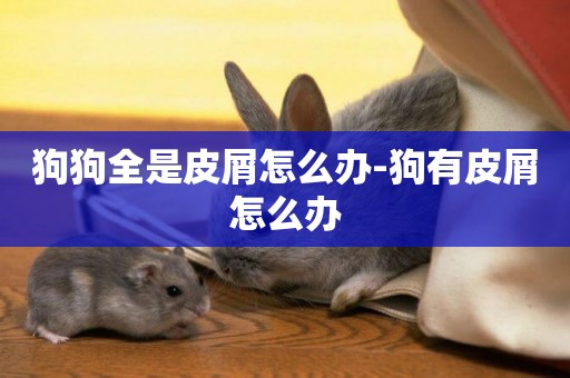 狗狗全是皮屑怎么辦-狗有皮屑怎么辦