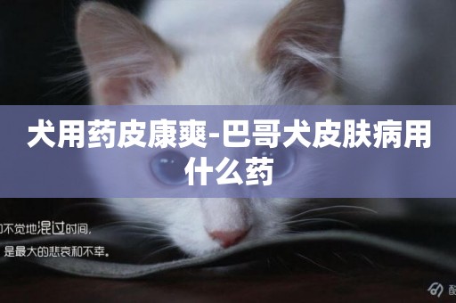 犬用藥皮康爽-巴哥犬皮膚病用什么藥