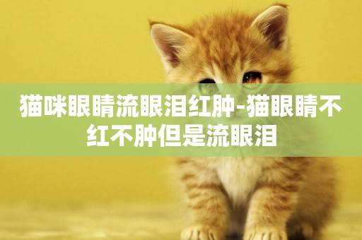 貓咪眼睛流眼淚紅腫-貓眼睛不紅不腫但是流眼淚