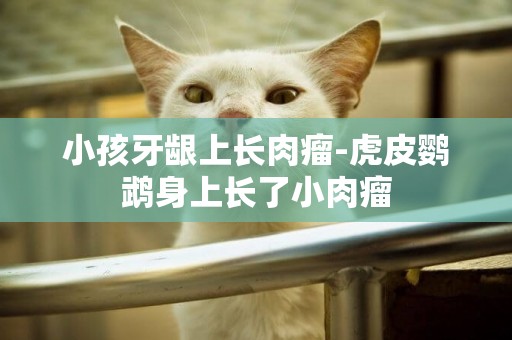 小孩牙齦上長肉瘤-虎皮鸚鵡身上長了小肉瘤