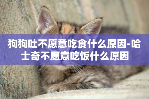狗狗吐不愿意吃食什么原因-哈士奇不愿意吃飯什么原因