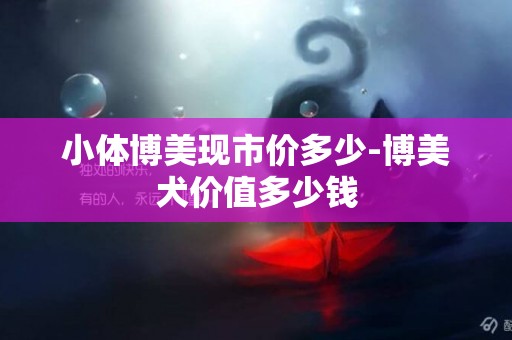 小體博美現市價多少-博美犬價值多少錢