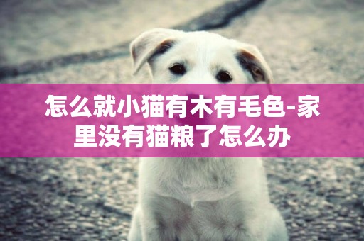 怎么就小貓有木有毛色-家里沒有貓糧了怎么辦