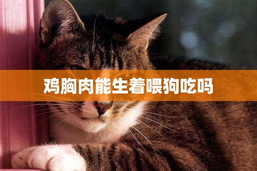 雞胸肉能生著喂狗吃嗎