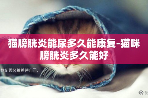 貓膀胱炎能尿多久能康復-貓咪膀胱炎多久能好