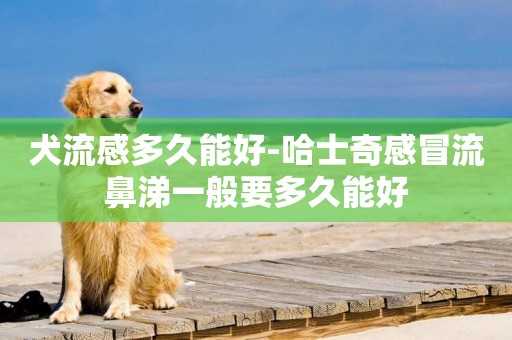 犬流感多久能好-哈士奇感冒流鼻涕一般要多久能好