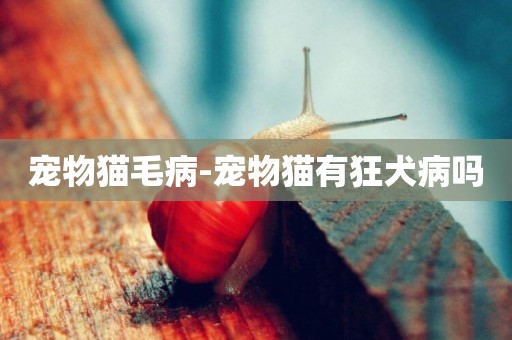 寵物貓毛病-寵物貓有狂犬病嗎