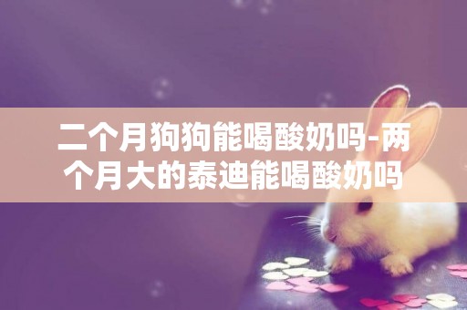二個月狗狗能喝酸奶嗎-兩個月大的泰迪能喝酸奶嗎